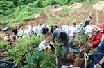 IMG_7970.JPG