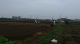 07.jpg