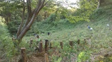 DCIM0059.JPG